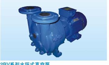 2BV Water-Ring Vacuum Pump