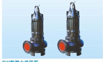 QW Submersible Sewage Drainage Pump